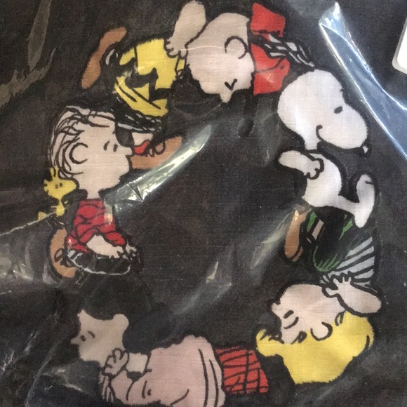Pottery Barn Peanuts “LOVE” Happy Valentines Charlie Brown Pillow Cover … - Picture 10 of 16